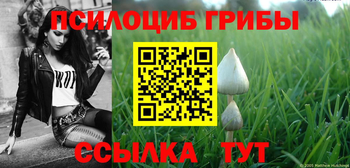 Галлюциногенные грибы MAGIC MUSHROOMS  Вход с VPN  купить наркотики сайты  Галлюциногенные грибы Psilocybine cubensis  Новоуральск 